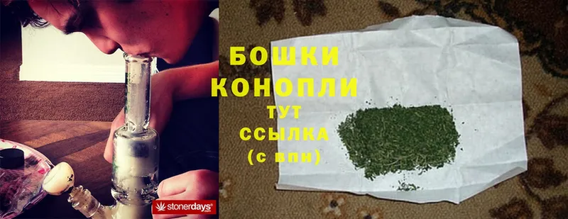 Конопля SATIVA & INDICA  купить наркоту  Красный Холм 